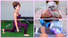 ☆ A DAY IN MY LIFE! (new kitten, nails + gym)