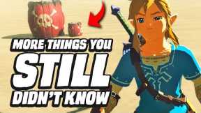 29 MORE Things You STILL Didn't Know In Zelda Breath Of The Wild