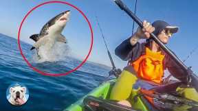 Shark Jumps Flipping Out Of Water - Fishes' CRAZY Action | Pets Town