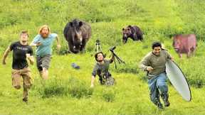 20 Times Wild Animals Surprised Photographers
