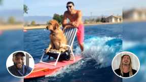 When You Teach Your Dog to Wake Surf | Athletes React