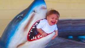Funny Babies At The Zoo #2 - Baby Shark Doo Doo - Life Funny Pets