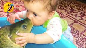 Try Not To Laugh : Baby Reactions Meet Fish For First Time - Funny Animal Videos | Life Funny Pets