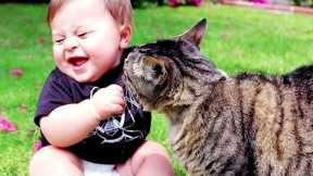 Funny Cats and Babies Playing Together - Funniest Pet Animals Video