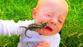 What Happens If Baby Meets Insect! Funny Babies At The Zoo | LIFE FUNNY PETS ??