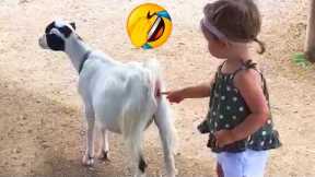 Try Not To Laugh | Funny Baby Reaction To Goats | LIFE FUNNY PETS ??