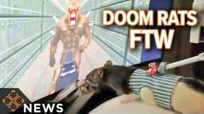 A Neural Engineer Taught Rats to Play Doom 2