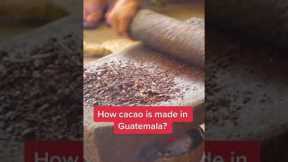 How Cacao Is Made In Guatemala