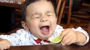 Funniest Baby | Baby Reactions Eating Lemons 2 - LIFE FUNNY PETS