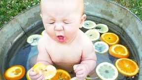 Funniest Baby | Baby Reactions Eating Lemons - LIFE FUNNY PETS