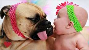 Cute Babies Playing With Dogs - Funny Baby And Pets | LIFE FUNNY PETS ??