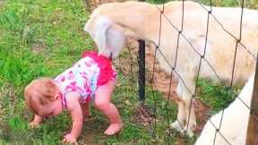 Try Not To Laugh : Funny Baby With Animals At The Zoo | Life Funny Pets