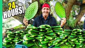Eating ONLY CACTUS for 24 Hours in MEXICO!! (I Almost Died!!)