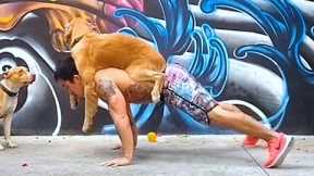 Man Does Pushups With Dog On Back | Best Of The Week