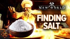 New World Guide: Where To Find Salt