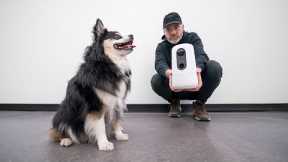 Can This New Gadget Satisfy the Dog...?