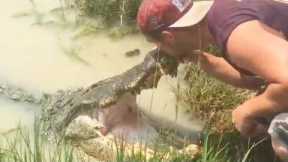 Man Kisses Alligator | Only In Florida