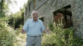 When Plants Take Over with Sir David Attenborough | The Green Planet |BBC Earth