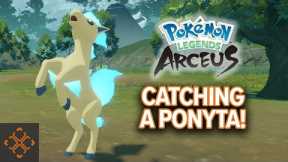 Pokémon Legends: Arceus - How to Catch a Shiny Ponyta