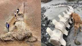 20 Biggest Archeological Discoveries Of This Century