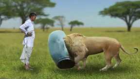 This Lion Got Stuck In Human Trash and Asked People For Help