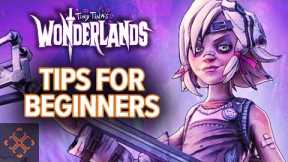 Tiny Tina's Wonderlands - A Beginner's Guide