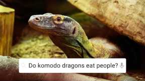 Do Komodo Dragons Eat Their Babies? | Weird Animal Searches | BBC Earth