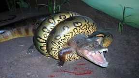 30 Times Animals Messed With Wrong Anacondas