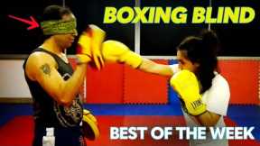 Man Boxes Blindfolded With Kid Prodigy & ﻿More | Best Of The Week