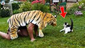 Pets That Will Make It Absolutely Impossible Not To Laugh| Pets Town