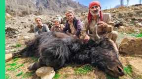 Pakistani Village Cooks Entire Yak!! Rare Mountain Food in Hunza!!