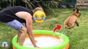 These Dogs Fail At Life In The Most Hilarious Ways | Pets Town