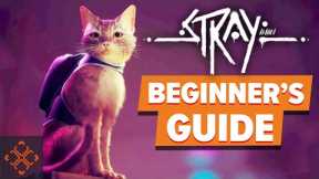 Stray: A Beginner's Guide