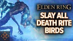 Elden Ring: Where To Find Every Death Rite Bird