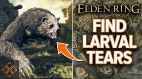 Elden Ring: Where To Find Every Larval Tear