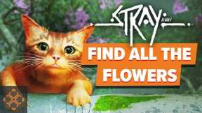 Stray: Where To Find Every Flower In Antvllage
