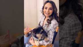 On Set Of My HBO Max Show BAKETOPIA! 🐶 #shorts #makeup #fashion