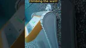 Cordless Robot Pool Cleaner: Wall Climbing Tank!