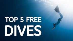 5 DEEPEST Free Dives of All Time