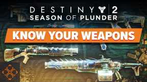 Destiny 2: Every New Weapon In The Season Of Plunder