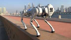 New Super Intelligent Robot Dog