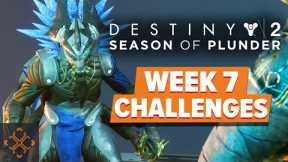 Destiny 2: Season Of Plunder - Week 7 Challenges Guide