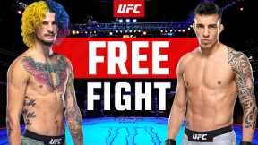 Sean O'Malley vs Thomas Almeida | FREE FIGHT | UFC 280