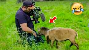 Animals Caught On Camera Acting Strangely (Funny) | Pets Town
