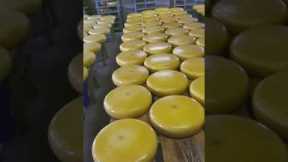 How Gouda Cheese Was Named After A City #cheese #Netherlands #Holland #Dutch