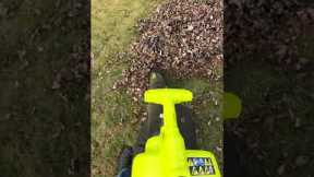🍁Fall Leaves + Vacuum = SHREDDED FUN!