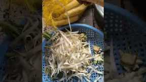 Relax with peeling radish#shorts