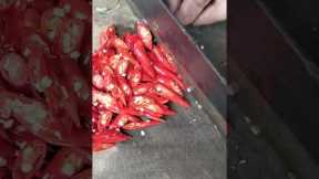 cut chili#shorts