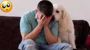 EMOTIONAL: You Have A Chance To Meet Your Dog Again