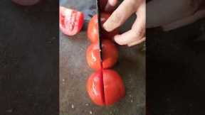 How to cut 4 tomatoes#shorts